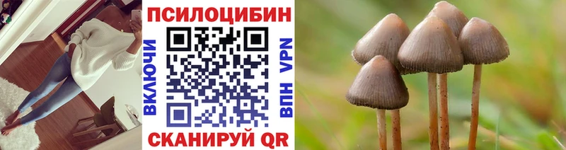Псилоцибиновые грибы прущие грибы  Сафоново 