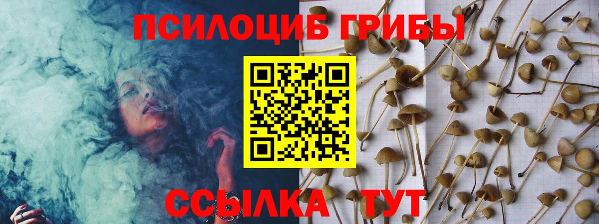 Галлюциногенные грибы мицелий  Вход с VPN  Сафоново 